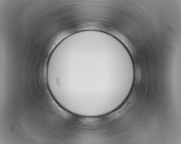 X0000110691290200907241056