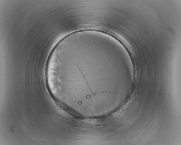 X0000110691291200907241056