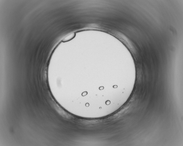 X0000110691292200907241056