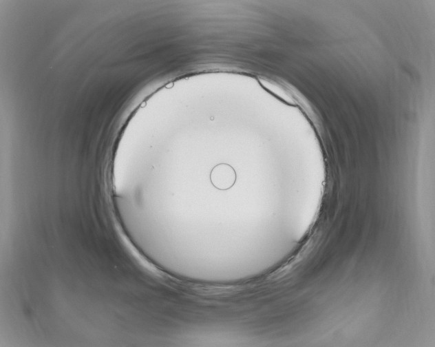 X0000110691293200907241056