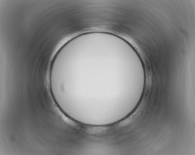 X0000110691294200907241056