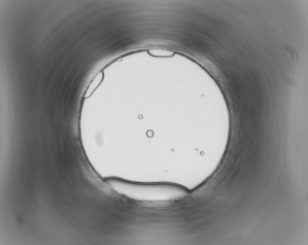 X0000110691296200907241056