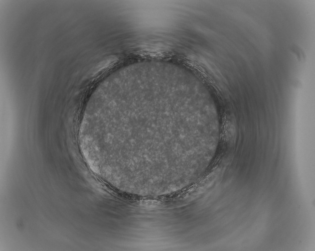 X0000110691297200907241055