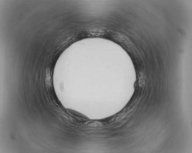 X0000110691298200907241055