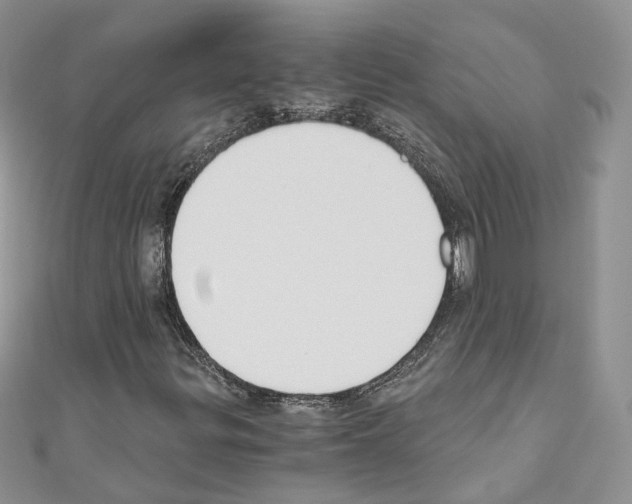 X0000110691299200907241055