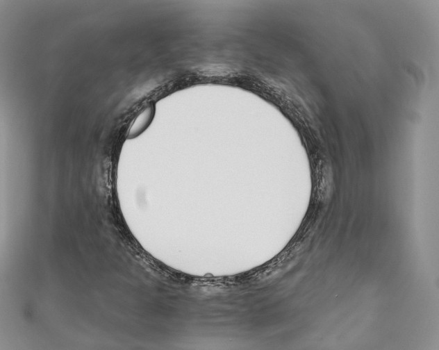 X0000110691301200907241055