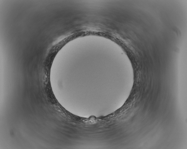 X0000110691303200907241055