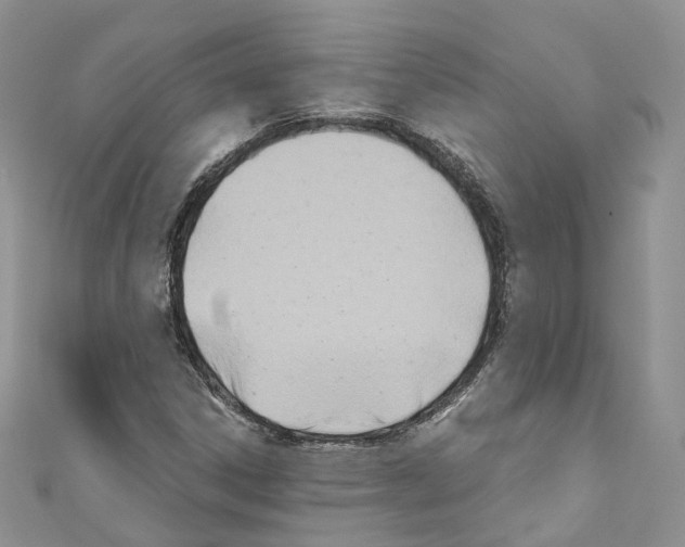 X0000110691306200907241055