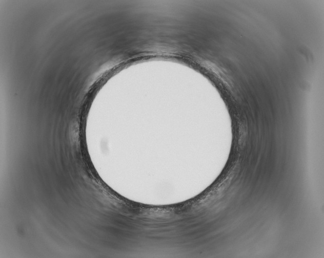 X0000110691307200907241055