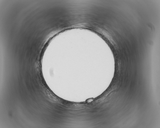 X0000110691308200907241055