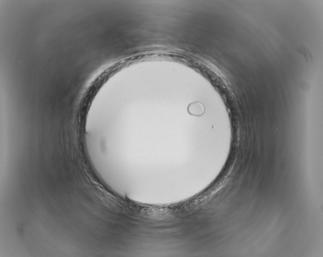 X0000110691310200907241055