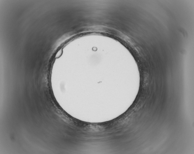 X0000110691312200907241055