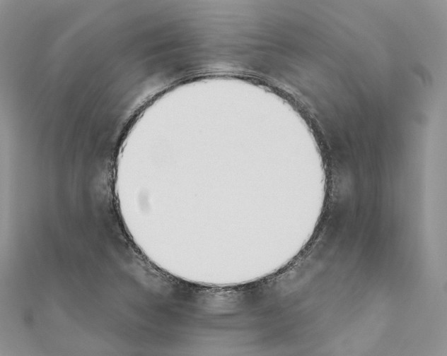 X0000110691314200907241055