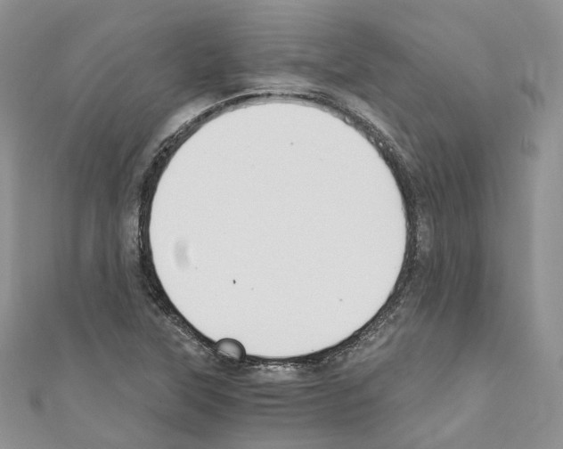 X0000110691315200907241055