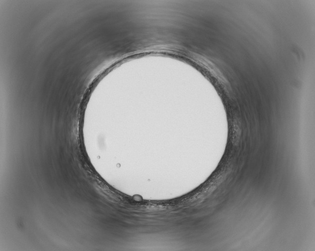 X0000110691316200907241055