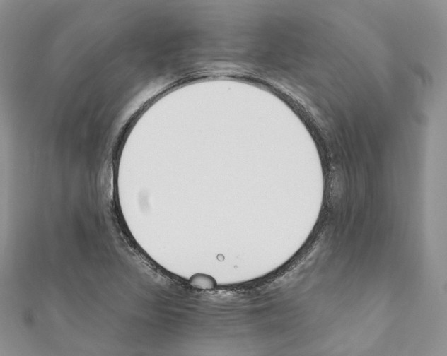 X0000110691317200907241055