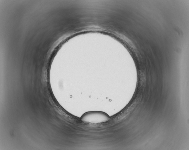 X0000110691318200907241055