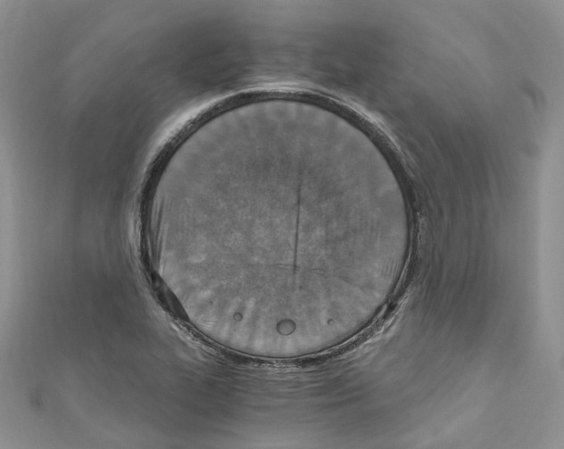 X0000110691319200907241055