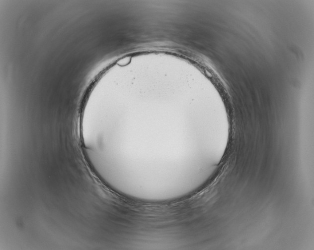 X0000110691320200907241055