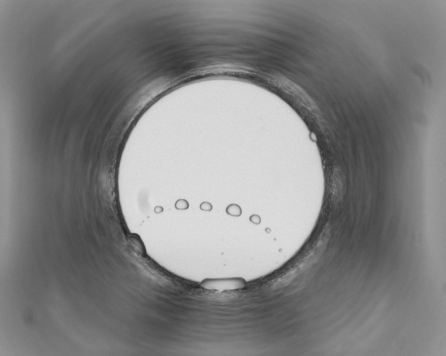 X0000110691321200907241055