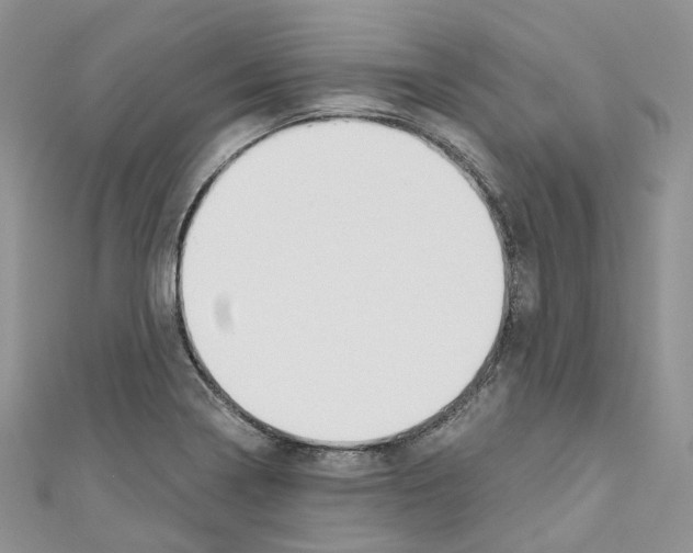 X0000110691322200907241055