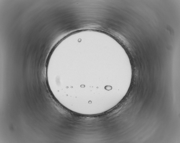 X0000110691324200907241055