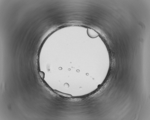 X0000110691325200907241055