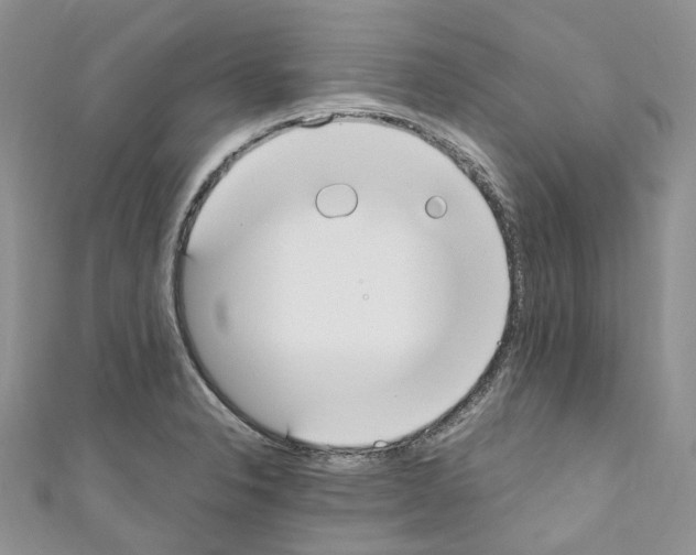 X0000110691326200907241055