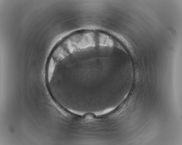 X0000110691327200907241055