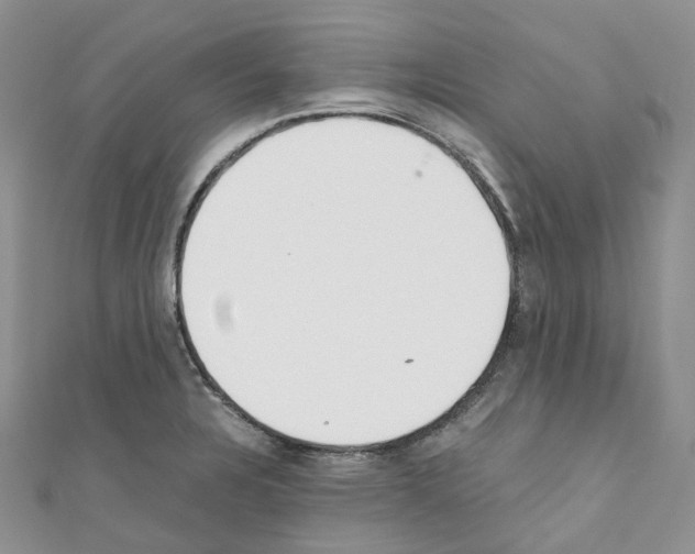 X0000110691328200907241055