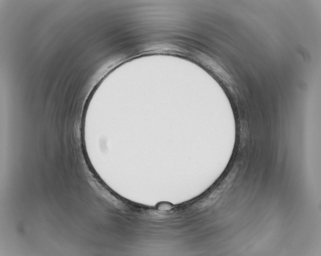 X0000110691330200907241055