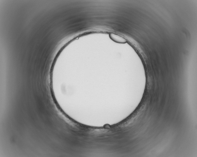 X0000110691335200907241056