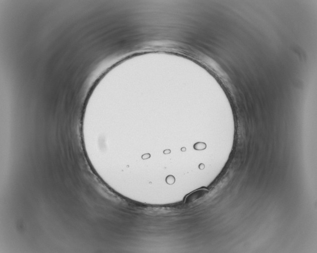 X0000110691336200907241056