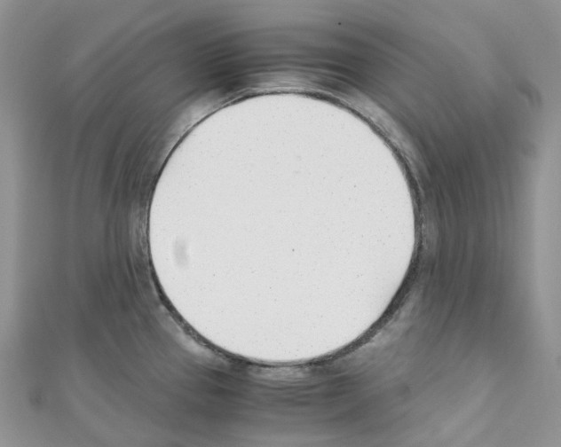 X0000110691337200907241056