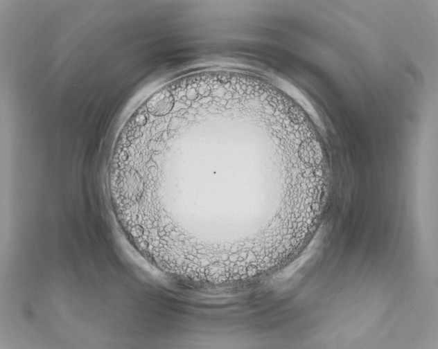 X0000110691338200907241056