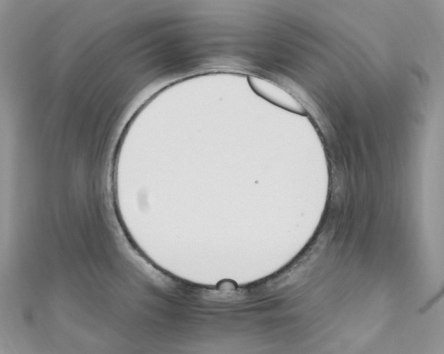 X0000110691339200907241056