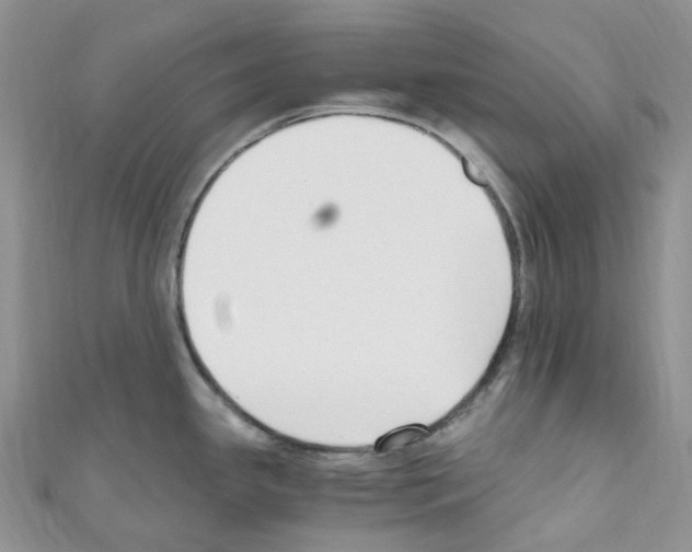 X0000110691341200907241056