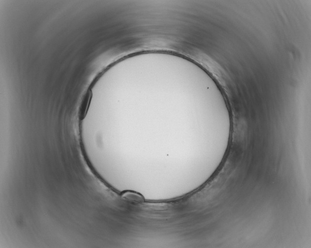 X0000110691342200907241056