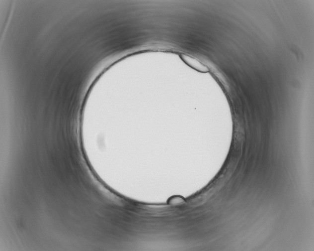 X0000110691343200907241056