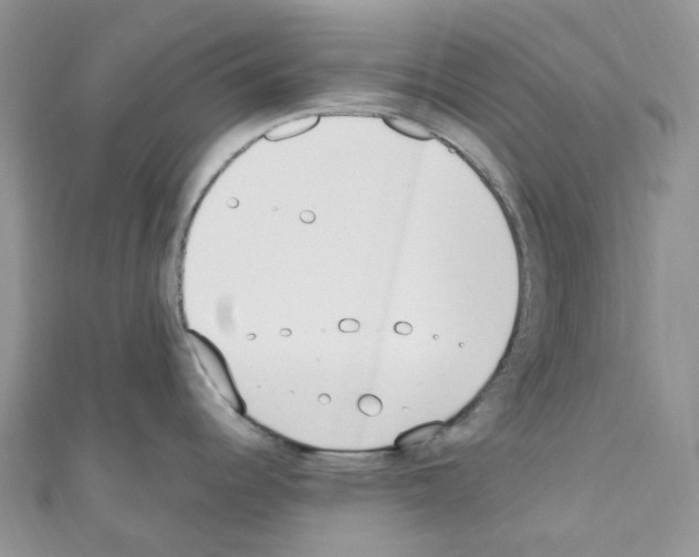 X0000110691344200907241056