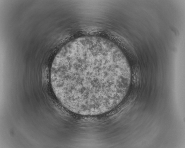 X0000110691346200907241055