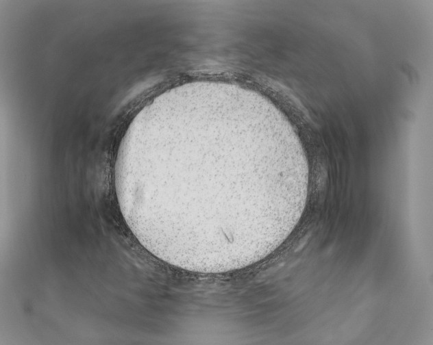 X0000110691350200907241055