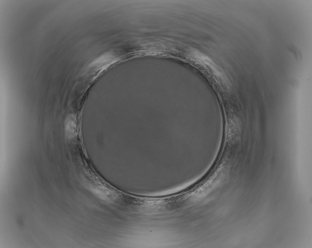 X0000110691353200907241055