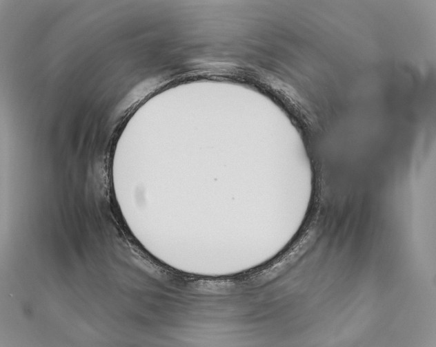 X0000110691354200907241055