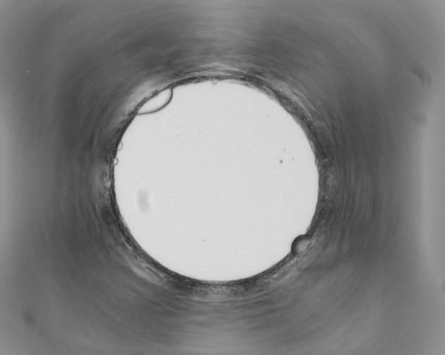 X0000110691355200907241055