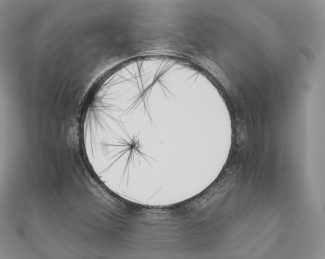 X0000110691356200907241055