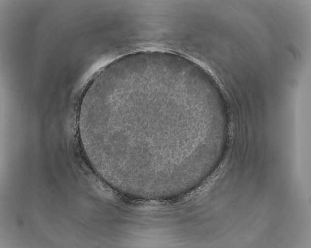 X0000110691359200907241055