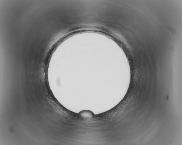 X0000110691360200907241055