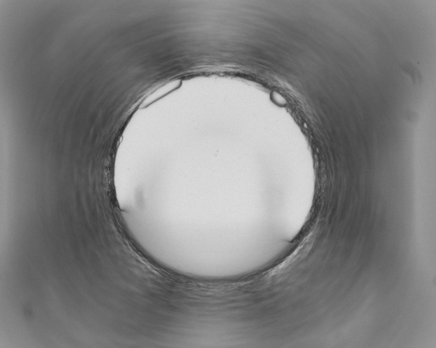 X0000110691361200907241055