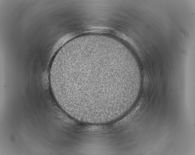 X0000110691362200907241055